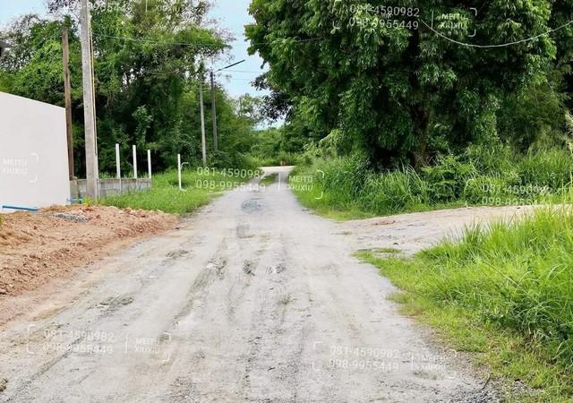 ขายที่ดินสวยถมแล้วมาบไผ่บ้านบึงชลบุรี #ที่ดินปรับถมเรียบร้อยแล้ว เนื้อที่ 50ตรว ถนนสาธารณประโยชน์ 3