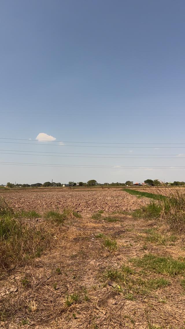 ที่ดิน ที่นา กลางเมืองอ่างทองใกล้โรงบาลอ่างทองใกล้บิ๊กซีโลตัสเดินทางสะดวกมาก 1