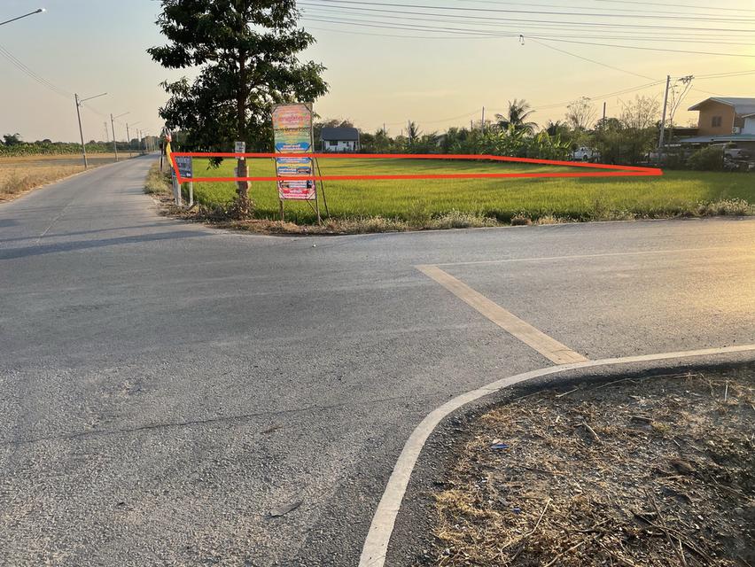 ขายทีดินทำเลดี ติดราชพฤษ หน้าติดถนนหลังติดซอย 1ไร่ 4