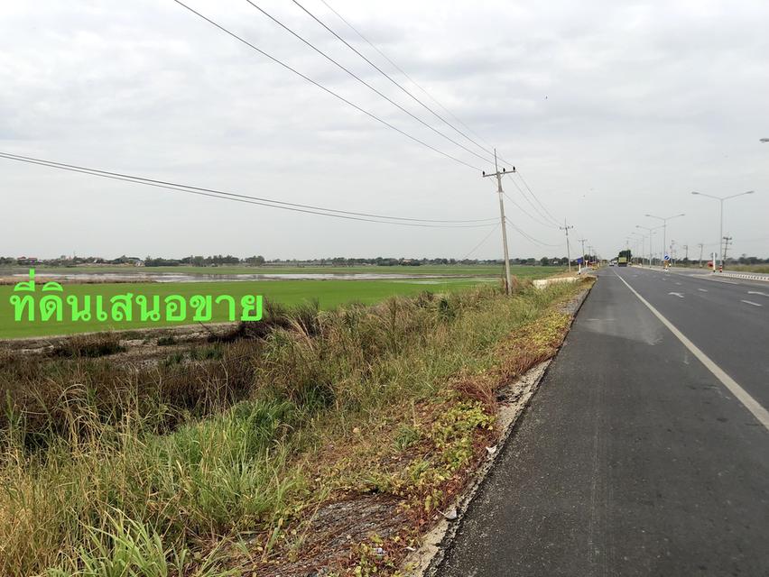 ขายไร่ละ 1 ล้าน 2 แสน ที่ดิน 7 ไร่ ติดถนนสี่เลน อยุธยา อ่างทอง ( ทล.309 ) 098 7755 808 3