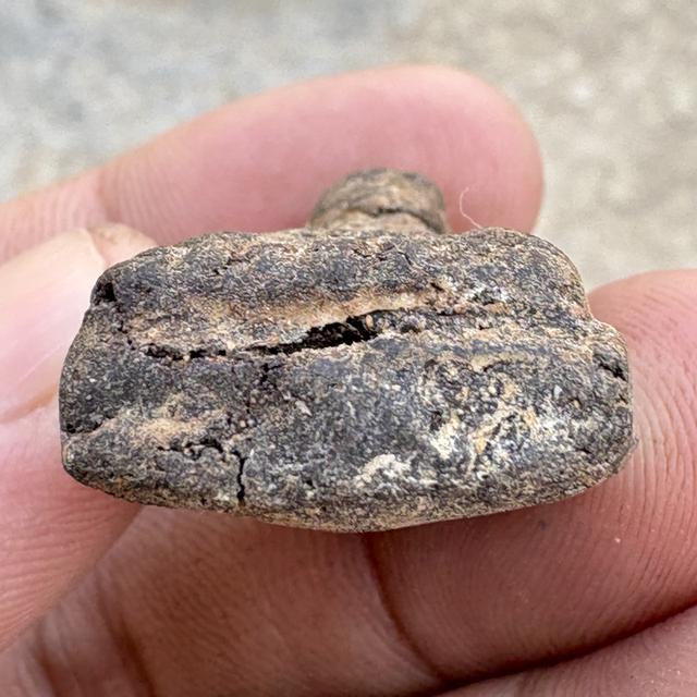 หลวงปู่ทวด วัดช้างให้ เนื้อว่าน ปี2497 รูปที่ 5