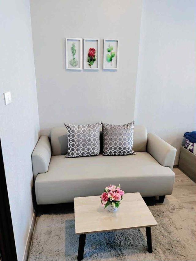 ปล่อยเช่า Knight Bridge Kaset Society ✨🌿 เพียง 1 สถานีจาก ม.เกษตร 1