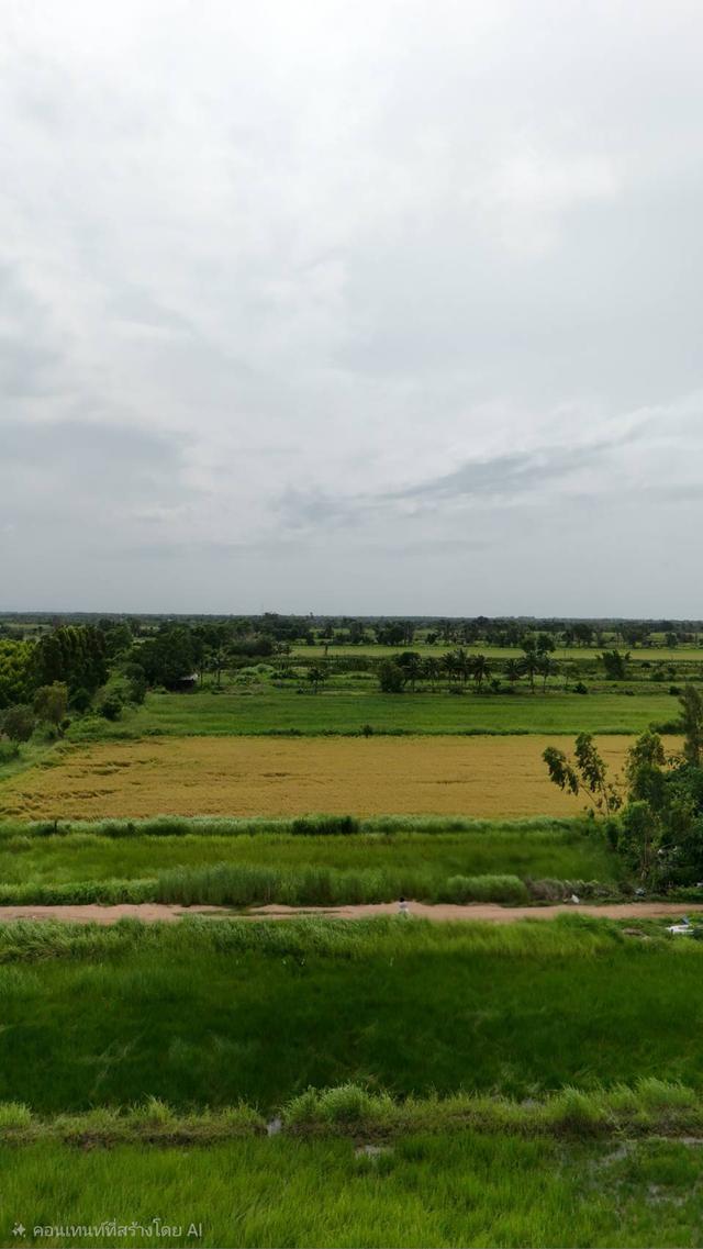 ขายที่ดินจัดสรร องครักษ์ นครนายก เหมาะสร้างบ้าน โฉนดครุฑแดง พร้อมโอน 4
