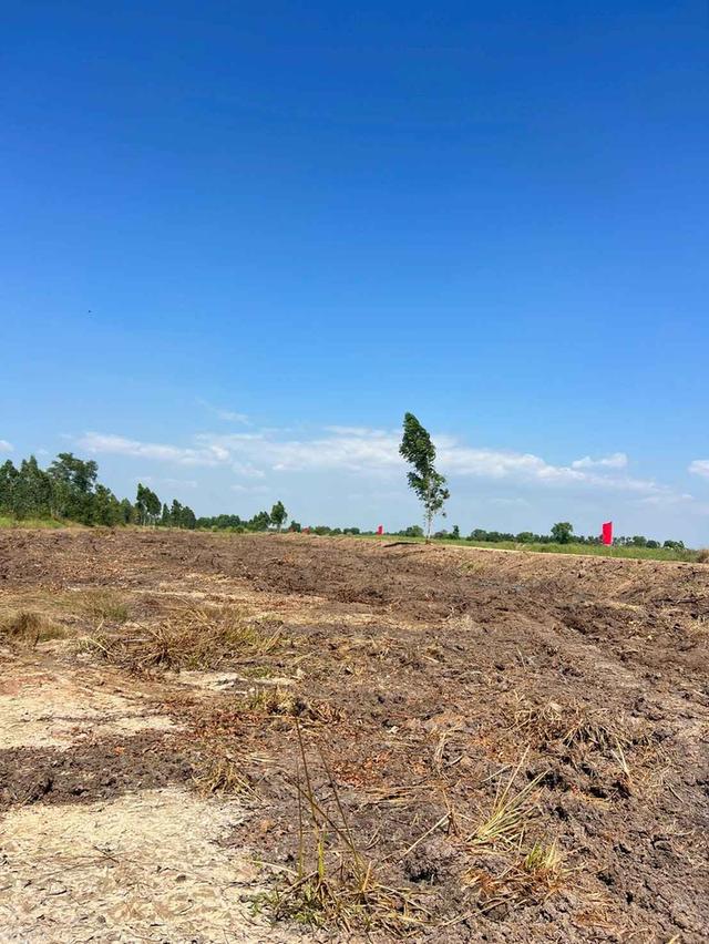 ขายที่ดินบึงกาสาม 1 ไร่ คลอง9 ติดถนนเลียบคลองแอน ใกล้ถนนเส้น5021-1กม. อ.หนองเสือ ปทุมธานี 6