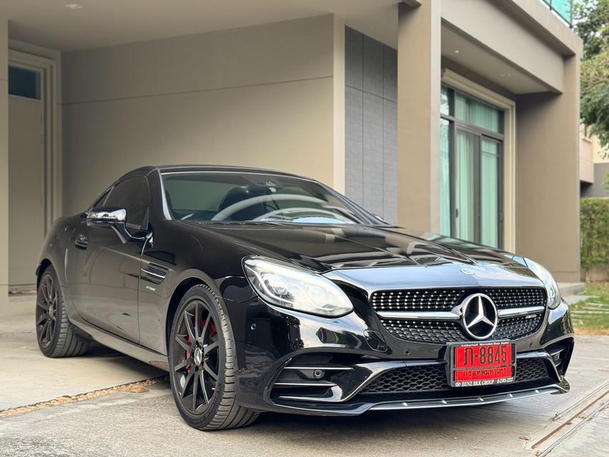 Slc43 AMG