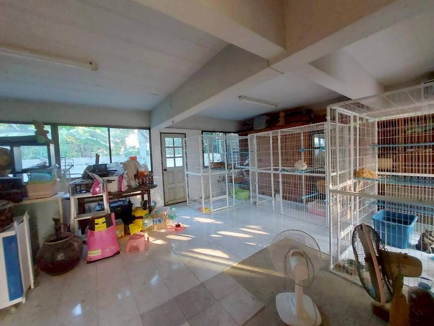 ขายที่ดินพร้อมบ้าน 2 ชั้น 2 หลัง ซอยงามวงศ์วาน 19 5