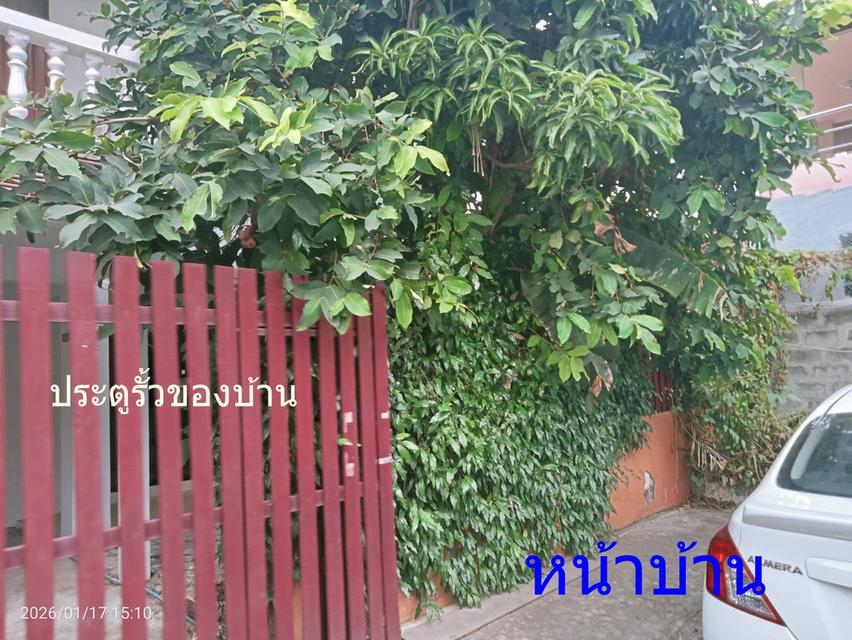 ขายบ้านทาวน์เฮ้าท์ 2 ชั้น พร้อมอยู่ หมู่บ้านธนะสิน ตบแต่งแล้ว 35 ตรว.อยู่นวมินทร์ 68 8