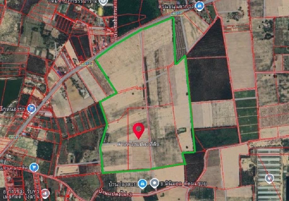 ขายที่ดิน ขนาดใหญ่ 5