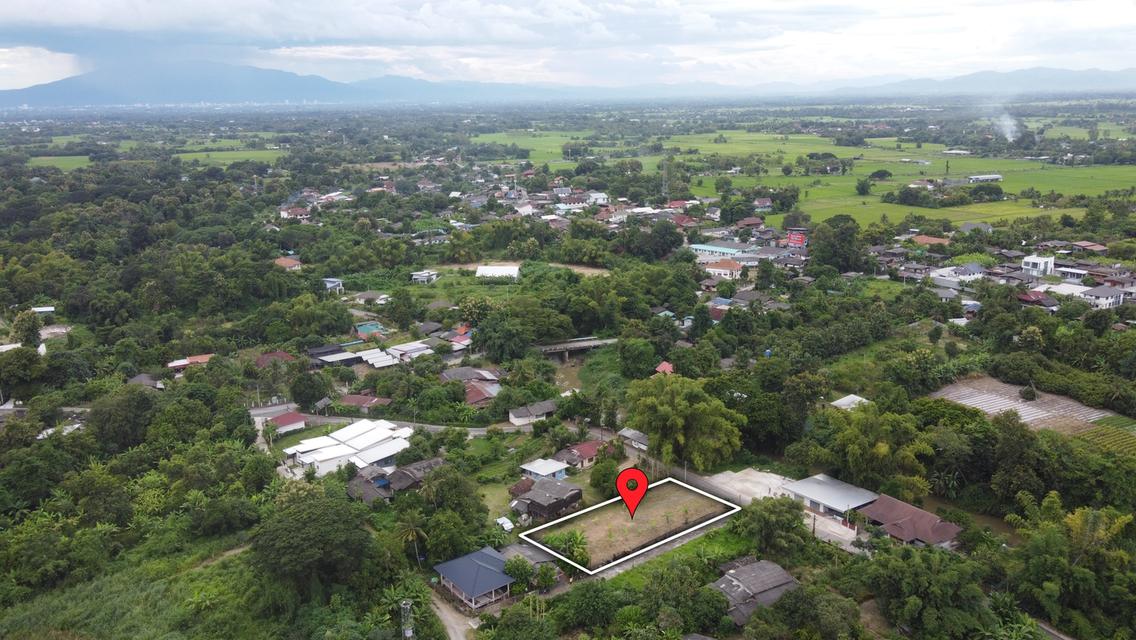  ที่ดิน 239 ตร.ว. ติดถนนคอนกรีต 2 ด้าน ถมแล้ว น้ำ-ไฟ-พร้อม  7