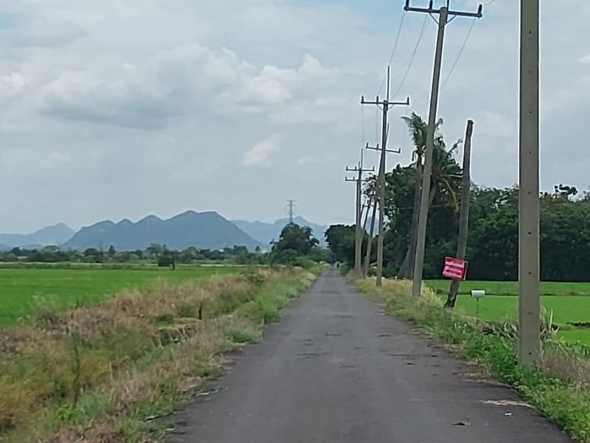 ที่ดิน 6