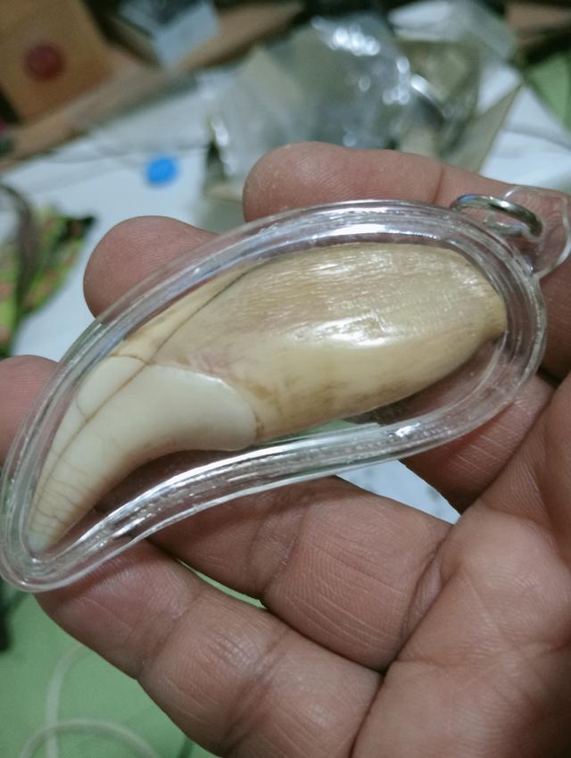 พระเครื่อง ไม่ทราบที่ รูปที่ 4