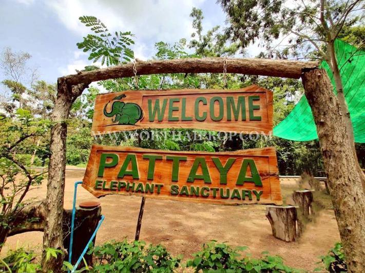 ที่ดินบางเสร่ ใกล้ถนนหมายเลข 332 อ.สัตหีบ จ.ชลบุรี 14