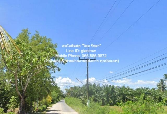 ที่ดิน ที่ดิน พร้อมสวนเกษตร (สวนยาง+มะพร้าว) ต.ชัยบุรี อ.เมืองพัทลุง จ.พัทลุง 2988 sq.wa 4500000 บาท ไม่ไกลจาก วัดวิหารส