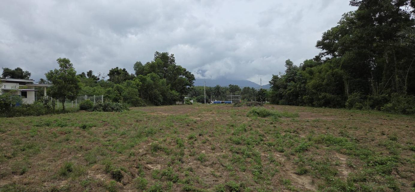 ที่ดิน ทำเลสวย กระบี่ 5