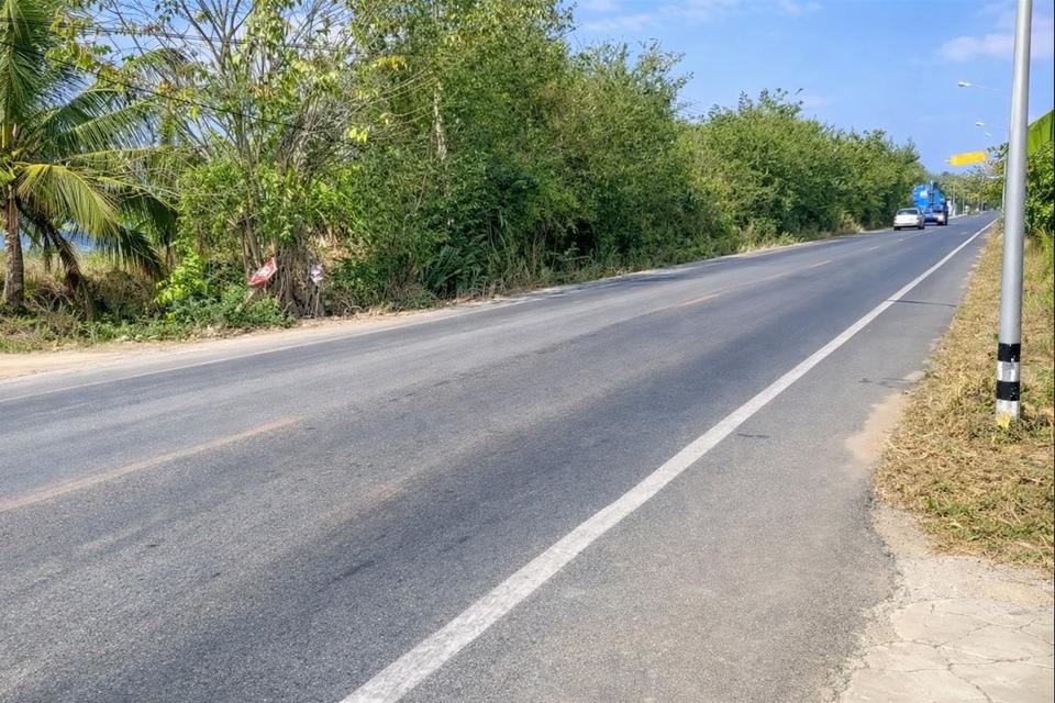 ขายที่ดินแปลงเดียว 2 โฉนด 250 ไร่ หนองหมู วิหารแดง สระบุรี เหมาะทำเกษตรและลงทุน 8