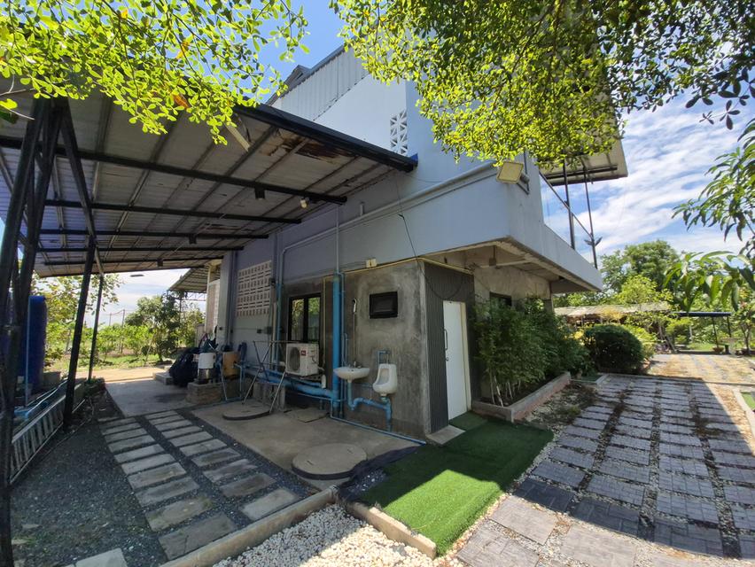 บ้านพร้อมที่ดินทำสวนเกษตร 6