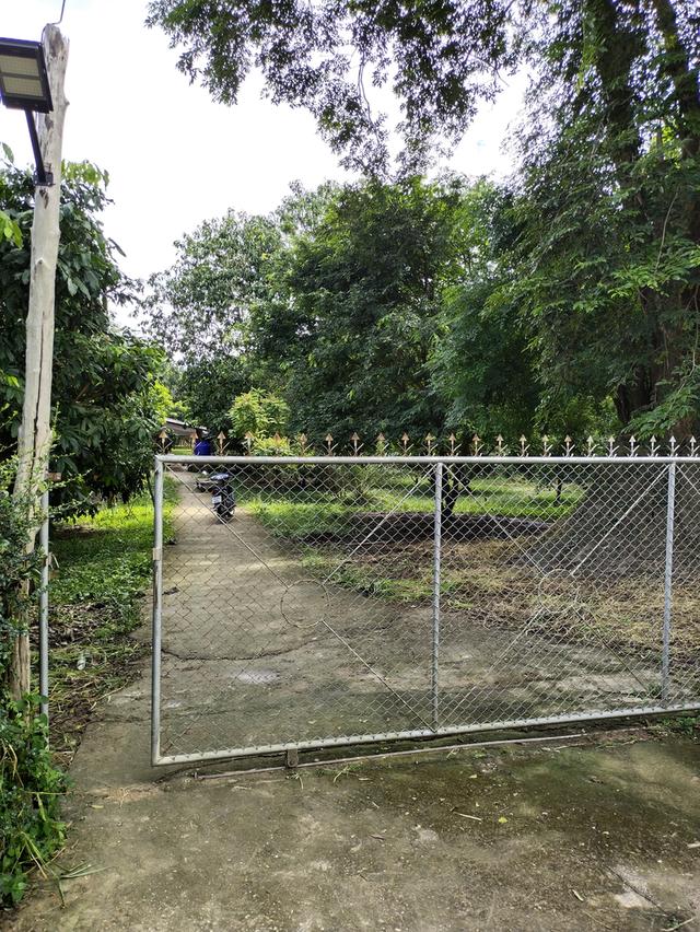 ที่โฉนดครุฑแดง2ไร่ จังหวัดน่าน สำหรับสร้างบ้านหรือบ้านสวน