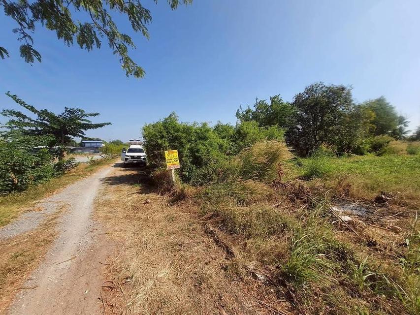 ขายถูก !! ที่ดินใกล้วัดราษฎร์นิยม 200 ตารางวาติดถนนสาธารณะ ถมแล้ว อ.ไทรน้อย จ.นนทบุรี 5