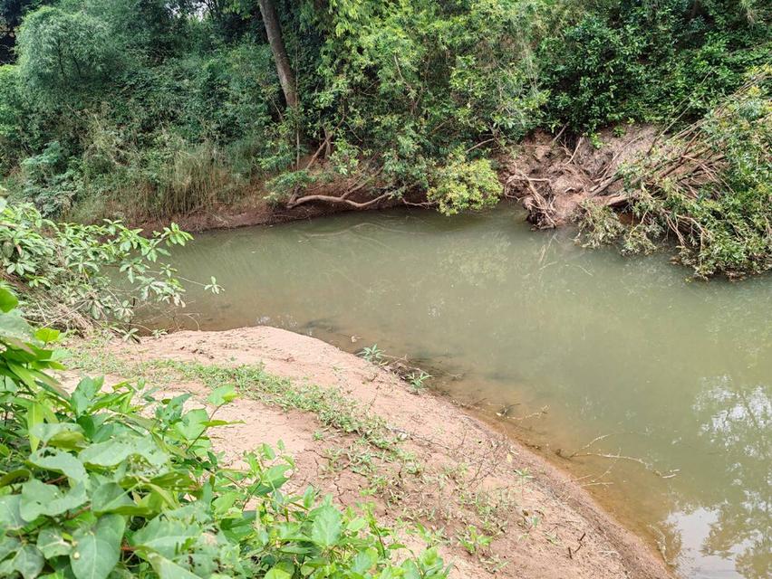 ที่ดินเปล่า จ.ลพบุรี อ.ลำสนธิ 6