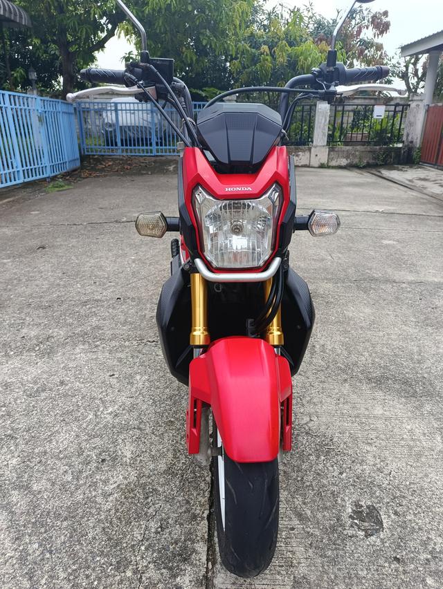 Zoomer -x  14