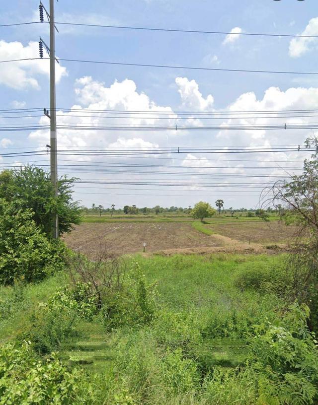 ขายที่ดินติดถนนมิตรภาพตำบลตาจั่น อำเภอคงจังหวัดนครราชสีมา ขนาดที่ดิน 16 -​0 -​43 ไร่ 3