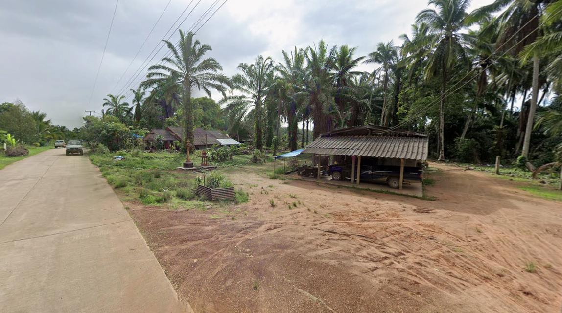 ขายที่ดิน 5ไร่ 3งาน จ.ชุมพร 1