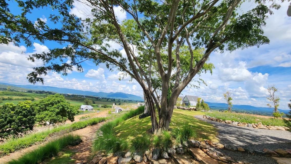 ขายที่ดินเขาใหญ่ บนเนินเขา *วิว360องศา เริ่ม 1.26 ล้านบาท (สูง 440 ม.) อากาศบริสุทธิ์ อ.ปากช่อง จ.นครราชสีมา
