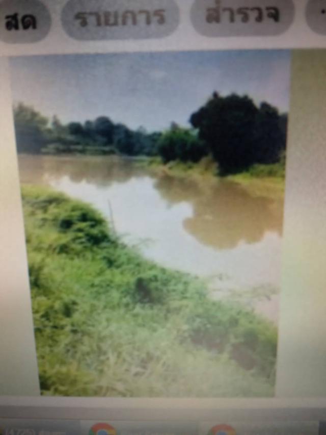 ขายที่ดินแปลงสวยติดหน้าแม่น้ำ  สุพรรณบุรี land for sale closed river 5