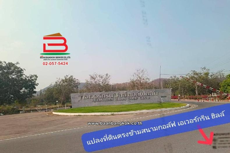 ที่ดินเปล่า ตรงข้ามสนามกอล์ฟเอเวอร์กรีนฮิลล์ เนื้อที่ 1102 ไร่ ตำบลรางสาลี่ อำเภอท่าม่วง กาญจนบุรี 8