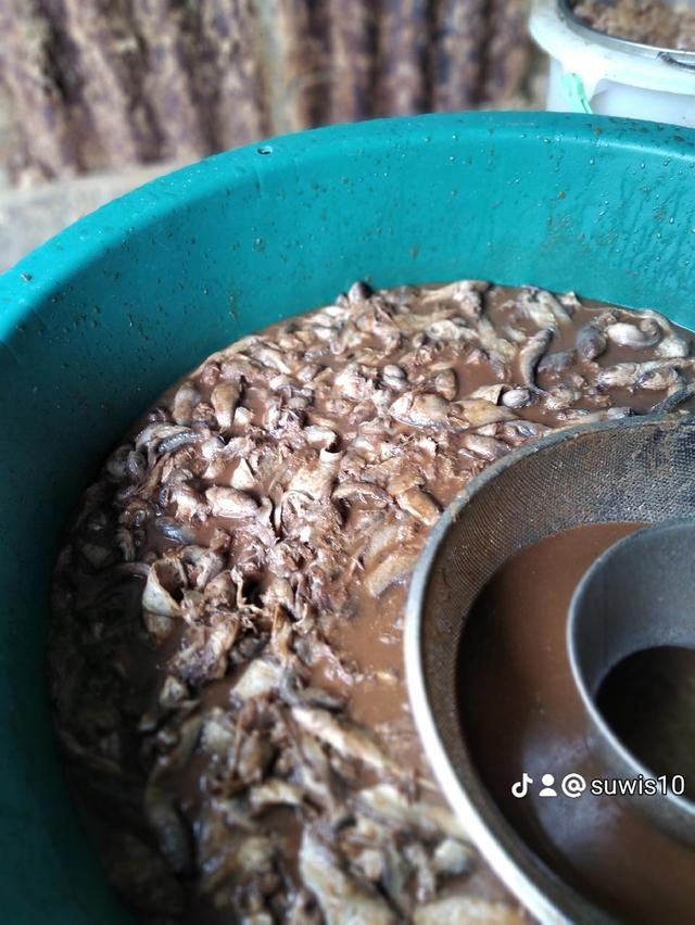 ปลาร้าโหน่งสูตรส้มตํา