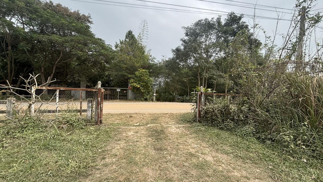 บ้านพร้อมที่ดิน คลองสอง วังน้ำเขียว 13