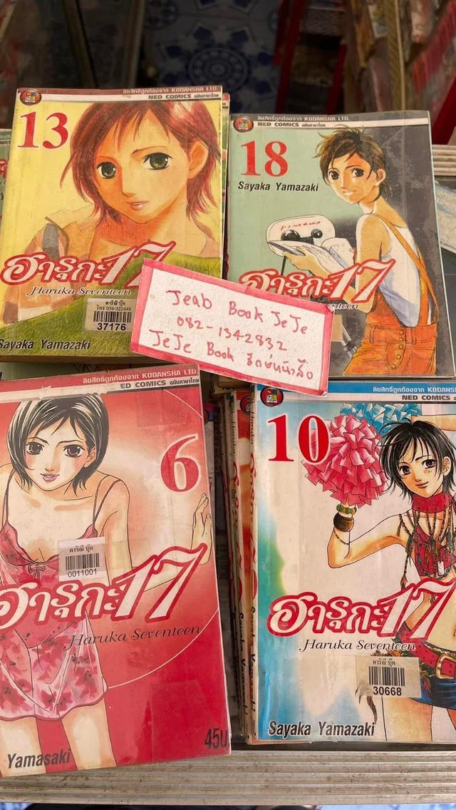 หนังสือการ์ตูน ฮารุกะ 17 1-19 จบ