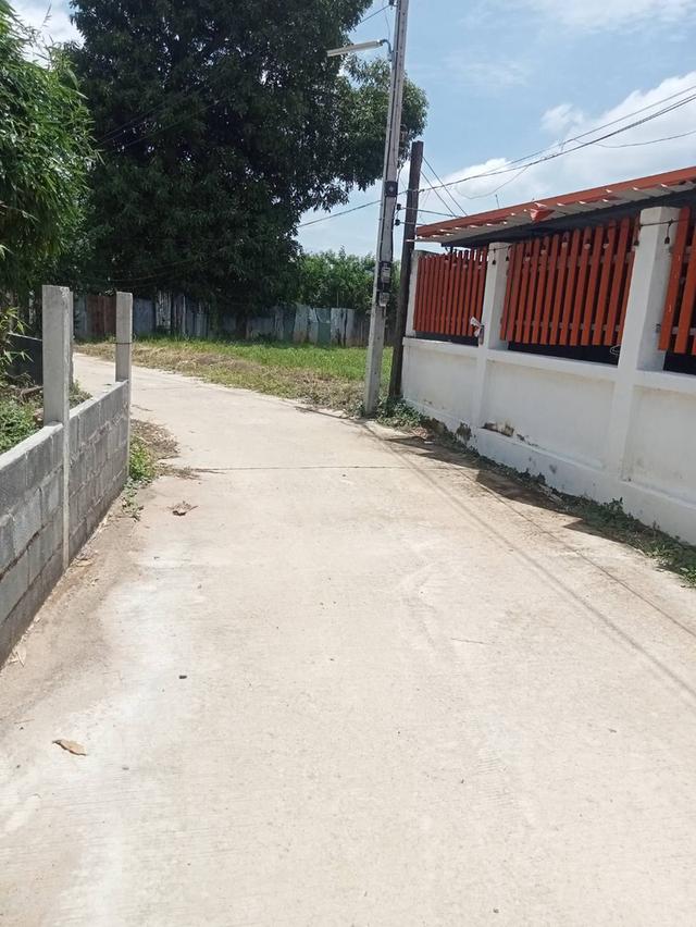 ขายบ้านพร้อมที่ดิน 100 ตรว ต.ตาลเดี่ยวทางเข้าโรงเรียนวัดนาบุญ ห่างถนนแก่งคอยบ้านนา 1.2 กม ขาย 6.5 แสน 20