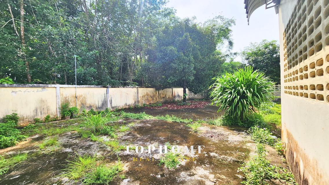 🔥 ขายด่วน! บ้านเดี่ยว 2 ชั้น พร้อมที่ดิน 🔥📍ใกล้เซ็นทรัลกระบี่ 7