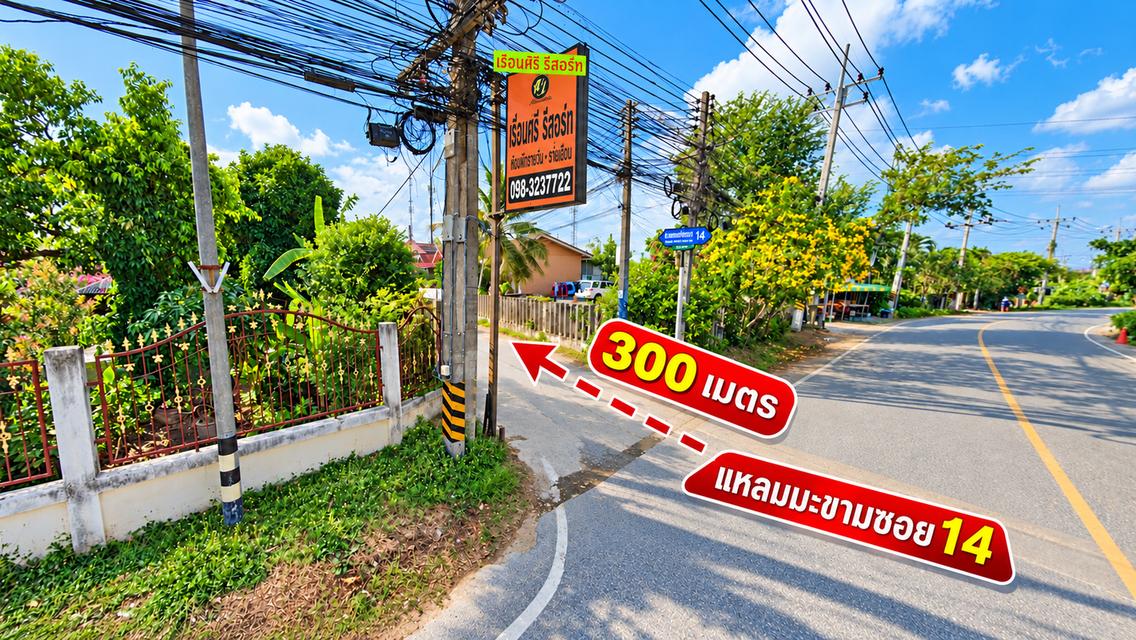 ขายที่ดินถมแล้ว 166 ตร.ว. ทับมา ระยอง ใกล้โกลบอลเฮ้าส์ ไฟฟ้าและประปาผ่านหน้าแปลง 15