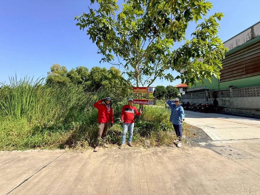 Vายด่วน ที่ดินใกล้มอเตอร์เวย์ 80 ตารางวา แปลงมุม ติดถนนคอนกรีตสาธารณะ ซอยคลองสี่ 6 อ.คลองหลวง จ.ปทุมธานี 1