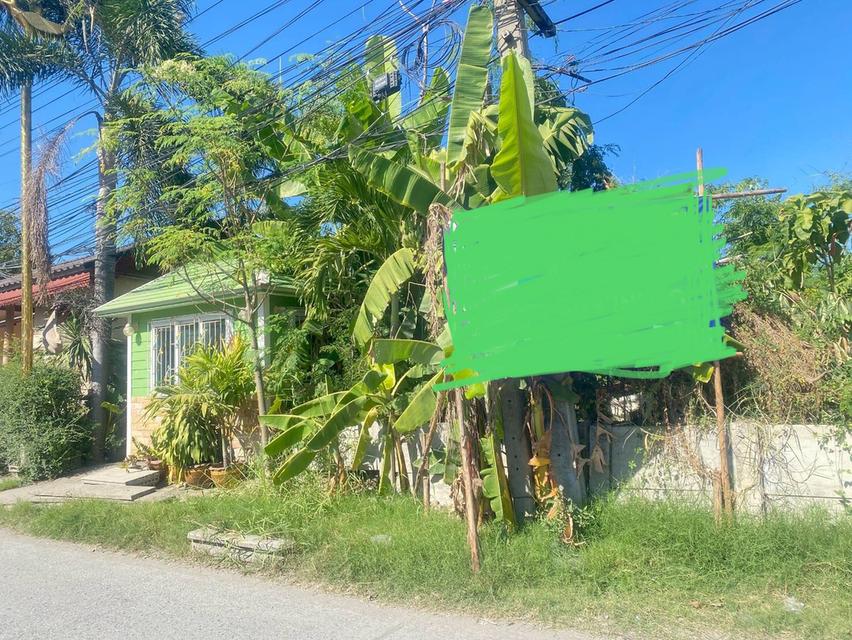 ที่ดิน ถนนกิ่งแก้ว สมุทรปราการ 1