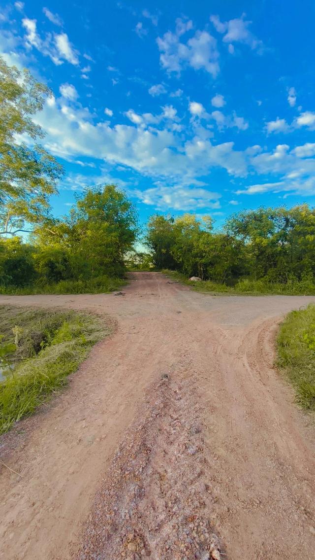 ที่ดินเกษตรกร ที่นา ที่ดิน อสังหาริมทรัพย์ 1