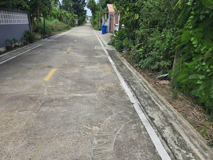 ขายด่วนที่ดินใกล้เซ็นทรัลศาลายา 91 ตรว ติดถนนคอนกรีตสาธารณะ ถมแล้ว ซ.หอถังประปา รพช. อ.พุทธมณฑล จ.นครปฐม 5