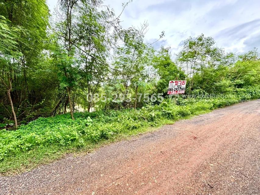 ขายที่ดิน ย่านหนองจอก ถนนคู้-คลองสิบ14 ซอยสวัสดิการแลนด์ แปลงมุม พื้นที่ 103.9 ตารางวา ราคาพิเศษเพียง 750,000 บาท บรรยากาศดี เงียบสงบ พื้นที่สีเขียว 4