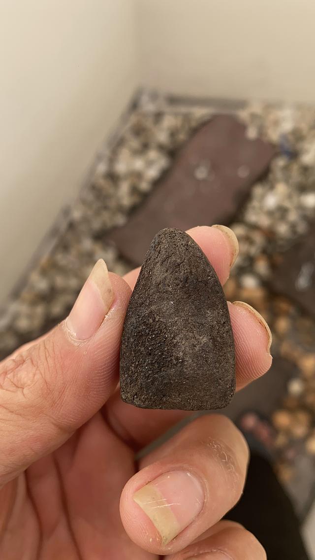 หลวงปู่ทวด วัดช้างให้ ปี2497 รูปที่ 2