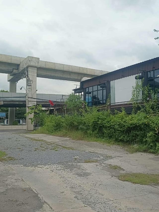 ขายที่ดินติดถนนรามคำแหงติดรถไฟฟ้าสายสีส้ม7ไร่3งาน55ตรว. 5