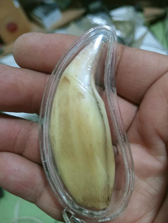 พระเครื่อง ไม่ทราบที่ รูปที่ 7