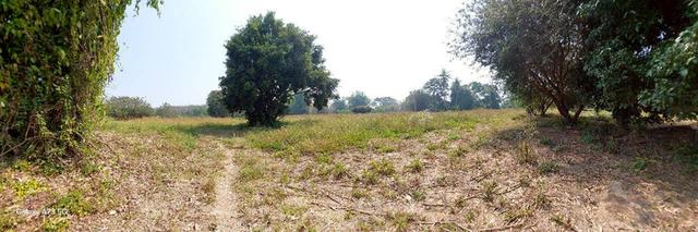 ขายที่ดินเปล่าในจ.ลำพูน ด้านหน้าติดถนนใหญ่ ติดแม่น้ำ พื้นที่สวย ทำเลดี อยู่ในเขตชุมชน ปลอดภัย ห่างจากสถานที่ราชการไม่เกิน 700 เมตร 7