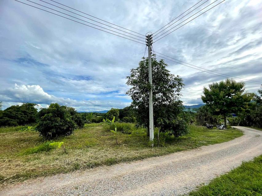🌳ขายที่ดินเจ้าของขายเอง ด่วน📌 10