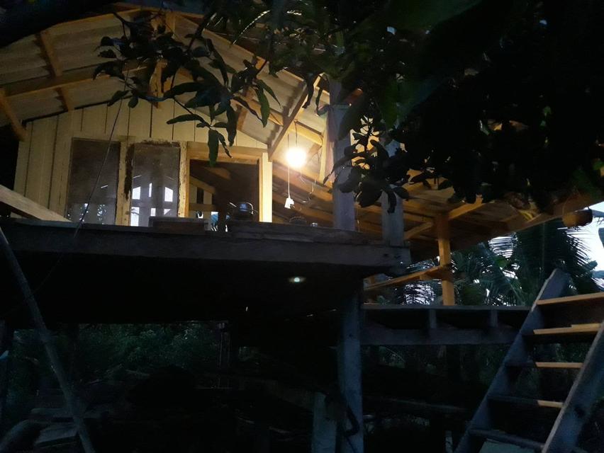 ขายที่สวนยกร่อง 6 ไร่ 54 ตรว. น้ำไฟพร้อมบ้านพร้อมอยู่ 1