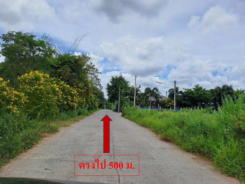 ขายที่ดินโฉนด 1 ไร่ 1 งาน หมู่ 13 ต.ด่านขุนทด อ.ด่านขุนทด จ.นครราชสีมา 4