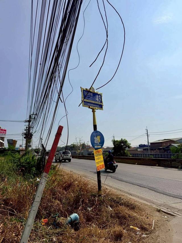 ขายด่วนที่ดินคลองสอง 50 ตรว ติดถนนคอนกรีตสาธารณะ ซ.บงกช 43 คลองหลวง ปทุมธานี รูปที่ 7