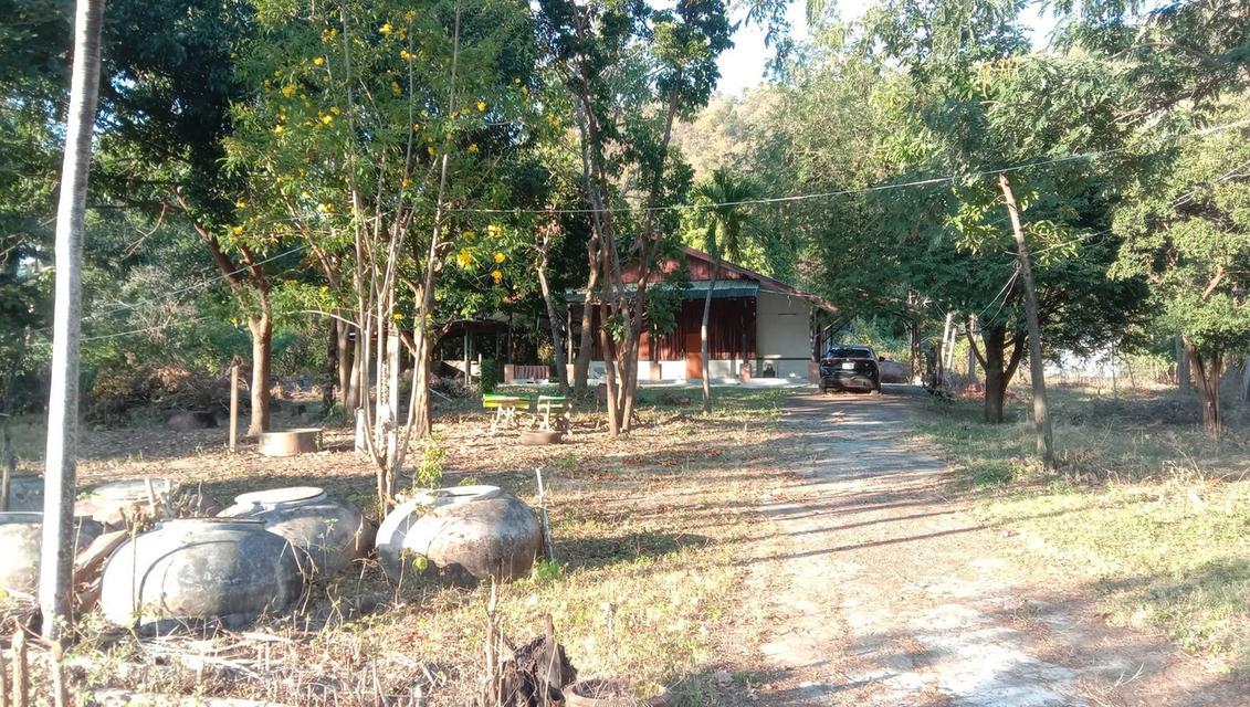 ขายบ้านพร้อมที่ดิน หลังติดเขา ต.เขาขลุง อ.บ้านโป่ง จ.ราชบุรี 8