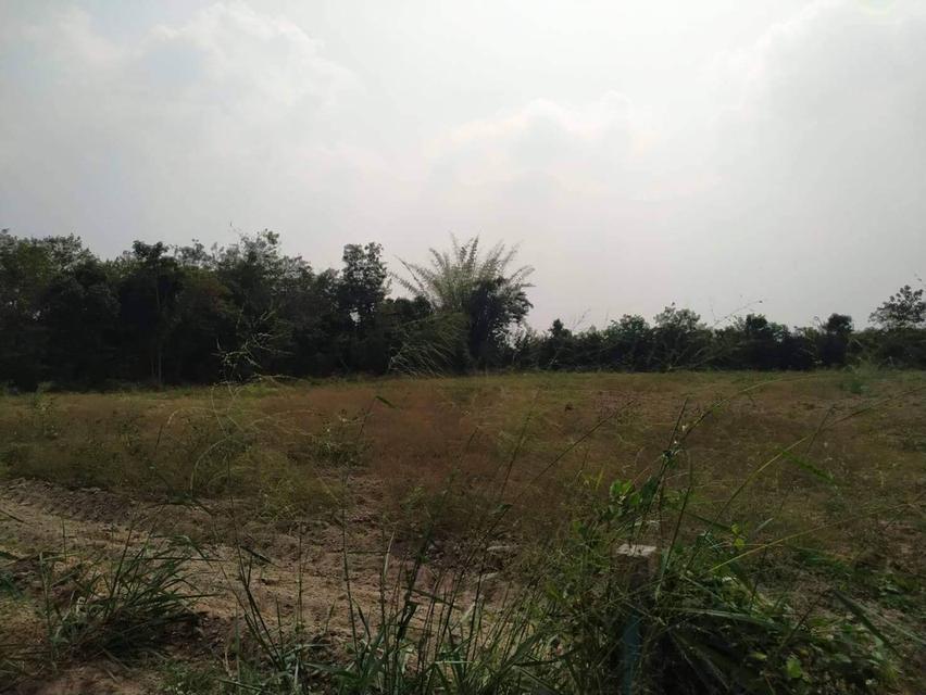 ขายที่ดินแถวสวนผึ้ง ราชบุรี ขายด่วนถูกมากๆๆ2ไร่ ต่อรองได้ ก้อย 0982832356 6